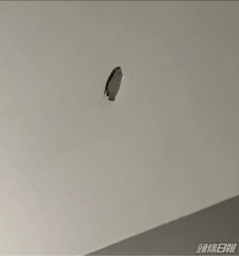 今年中Erin曾指有男人发脾气掟手机掟烂墙，矛头直指林利。