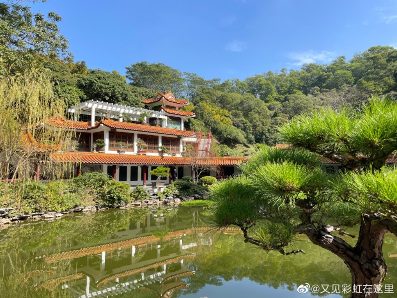 仙湖植物園被國家旅遊局評為國家AAAA級風景區。（圖片來源：小紅書@又见彩虹在这里）