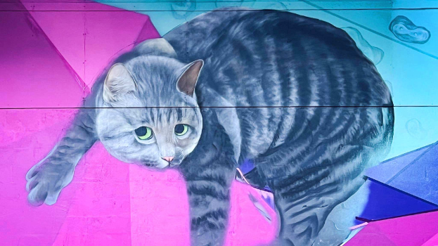 注意！屯门山景猫猫壁画出没，俄艺术家Vladimir新作将完工