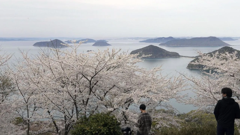 日本国土地理院本周公布数据，全国的岛屿数量比起官方1987年的报告，多了7千多个。 AP资料图