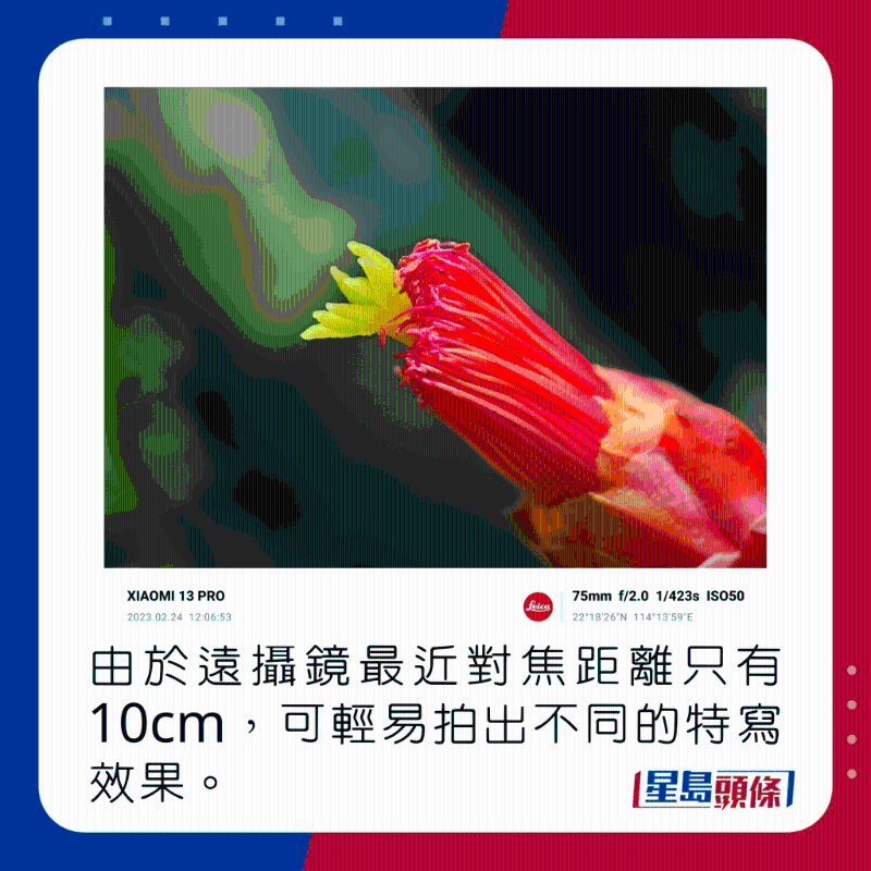 由於遠攝鏡最近對焦距離只有10cm,可輕易拍出不同的特寫效果。