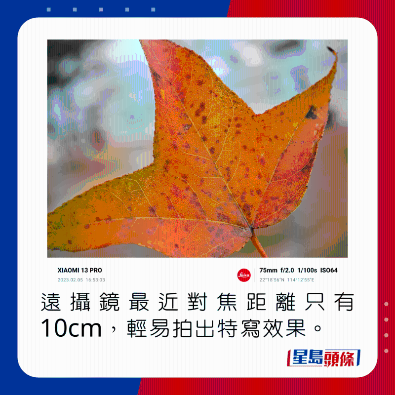 由於遠攝鏡最近對焦距離只有10cm,可輕易拍出不同的特寫效果。