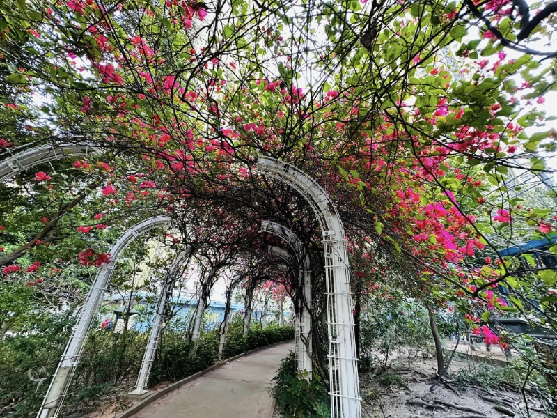 位於長沙灣的元州邨花隧道。(圖片來源:FB @ Winnie Lam授權)