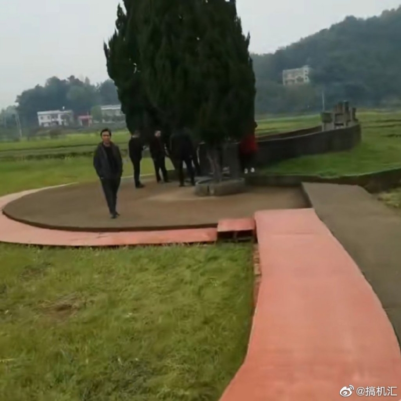 臨時木製通道直通馬家祖墳給馬英九及親屬掃墓。網圖