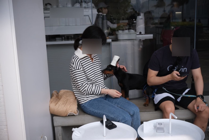 当时毛孩有一男一女照顾，疑似为狗主。 市民刘先生当天有拍低相片，希望公开后有助警方调查。 （刘先生提供）