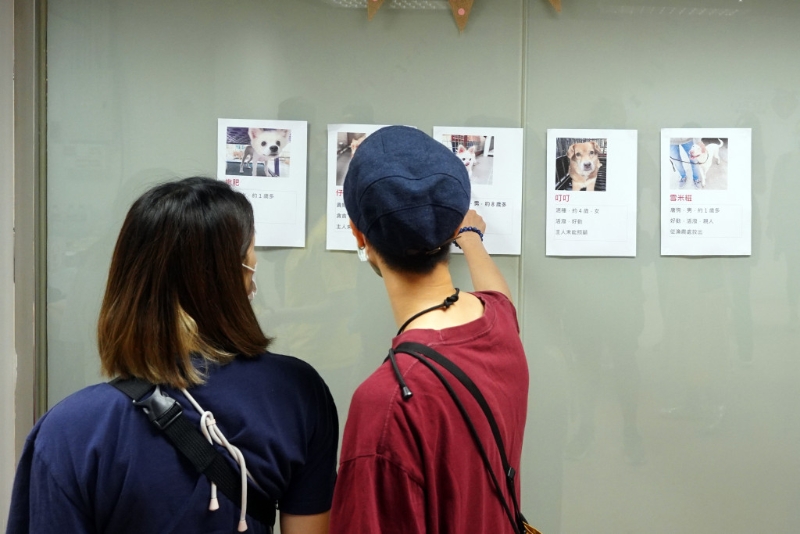 动保组织均希望市民购买狗只时，不应好像买一件货品，有钱就买，宜应深思熟虑，并考虑领养。