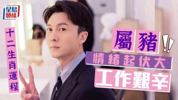 生肖运程｜属猪情绪起伏大，心思有记挂遇事需要冷静