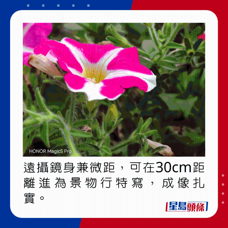 远摄镜身兼微距,可在30cm距离进为景物行特写,成像扎实。