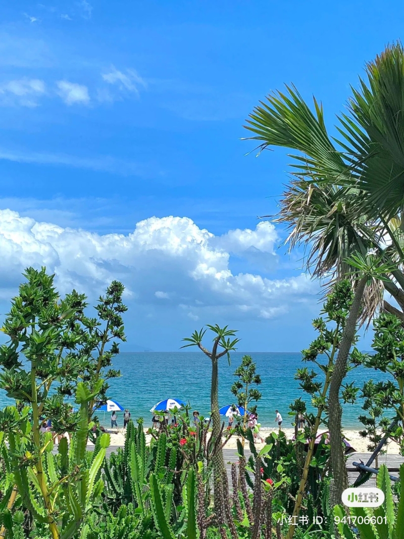 大梅沙 大梅沙