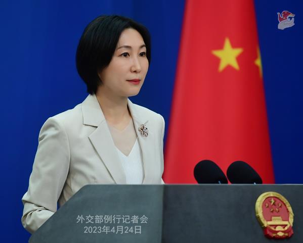 毛宁 毛宁