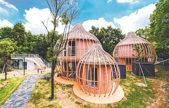 星级酒店“玩跨界”迎八方来客，特色民宿“造意境”享休闲生活