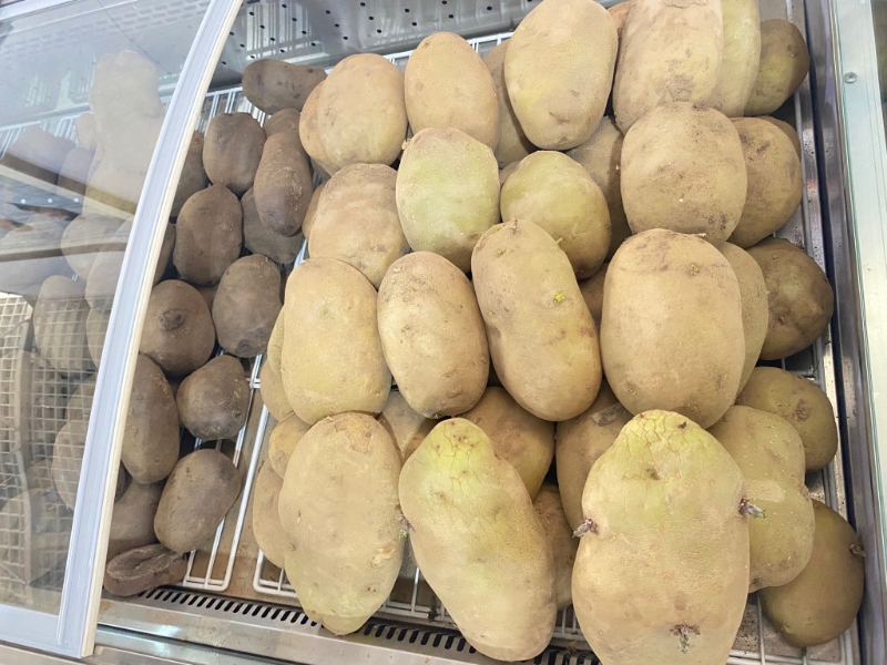 土豆 土豆