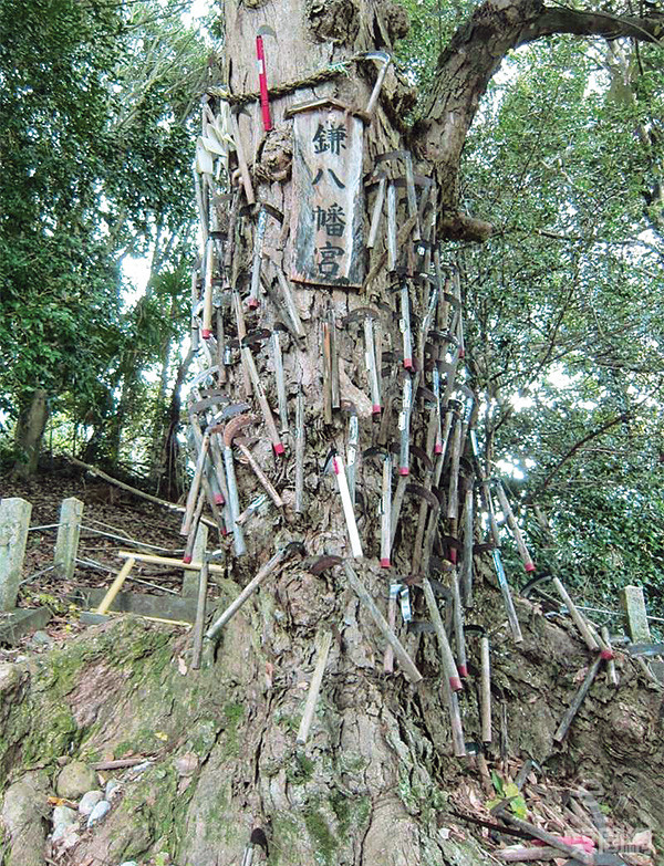 神木被称为鎌八幡宫,部分镰刀十分古老,明显已经存在多年。 神木被称为鎌八幡宫,部分镰刀十分古老,明显已经存在多年。
