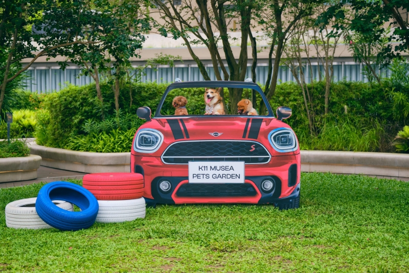 香港首个汽车主题宠物花园,K11 Musea 和 MINI联手打造 香港首个汽车主题宠物花园,K11 Musea 和 MINI联手打造