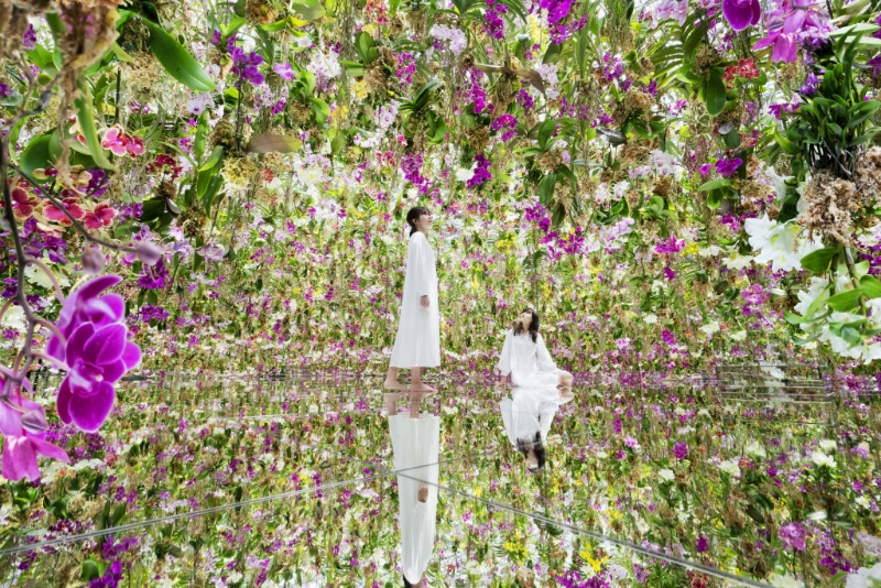 展览空间“漂浮的花园 展览空间“漂浮的花园