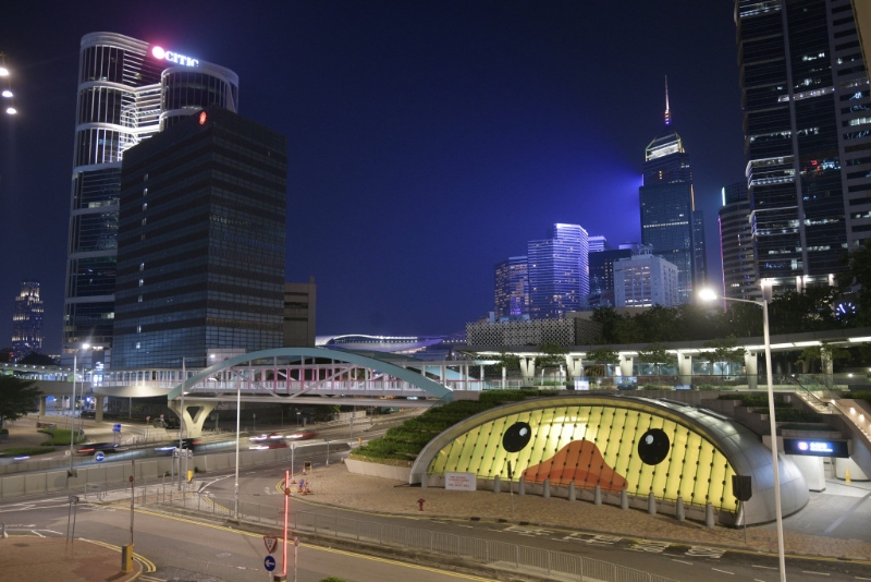 橡皮鸭夜景