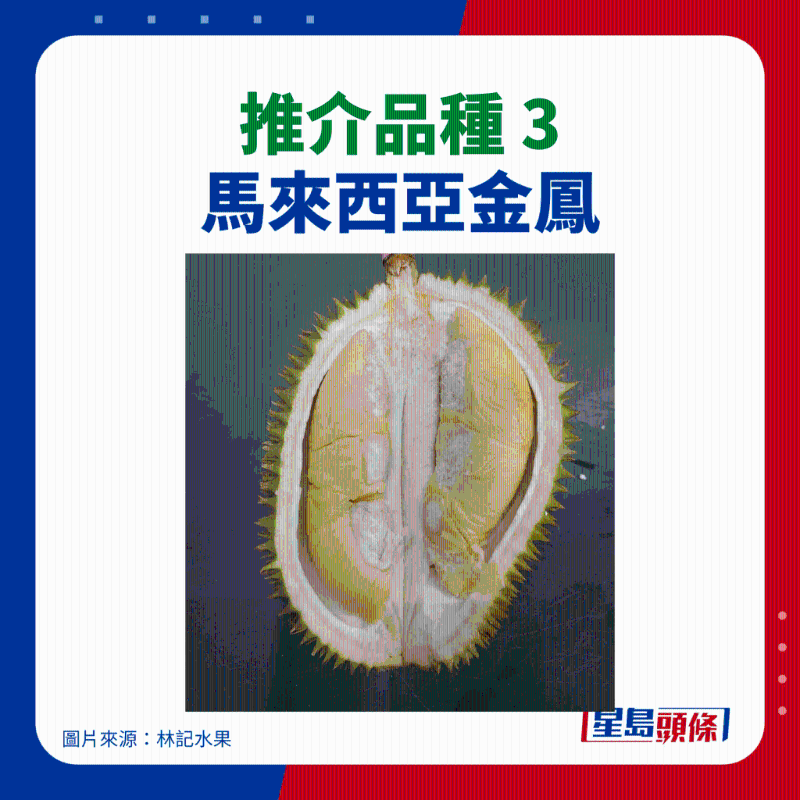 金凤 金凤