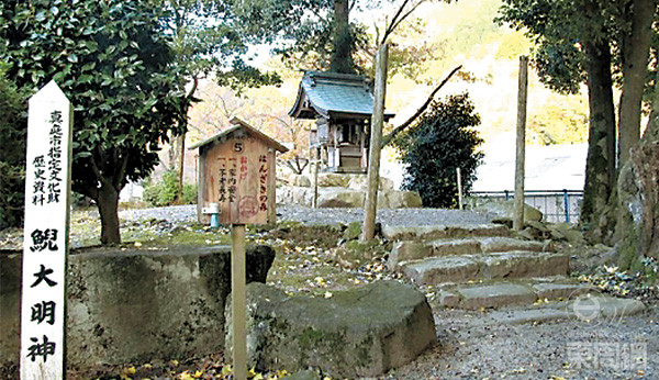 神社供奉参拜的是鲵大明神,但鲵也成为当地特产,神社后更有一间鲵鱼展览馆。 神社供奉参拜的是鲵大明神,但鲵也成为当地特产,神社后更有一间鲵鱼展览馆。