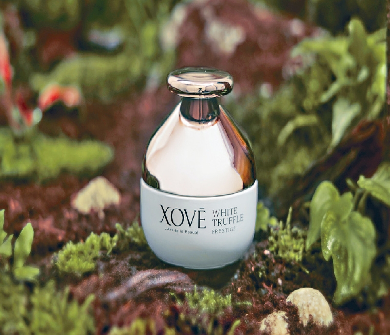 Xove Xove
