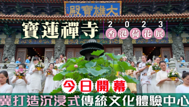 宝莲禅寺荷花展今日开幕，冀打造沉浸式传统文化体验中心