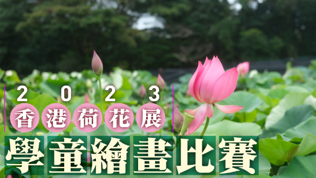 ​2023香港荷花展 | 学童绘画比赛得奖名单出炉