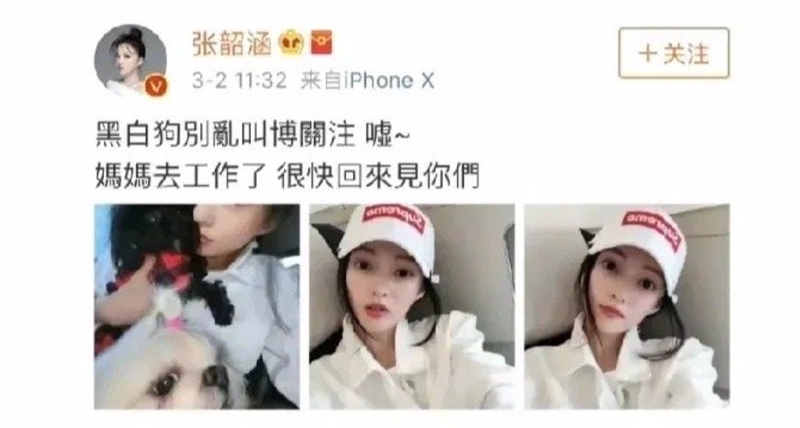 张韶涵曾晒黑白爱犬，被解读为在影射范玮琪夫妇。