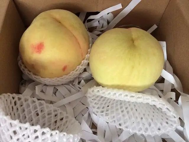 “桃王”阳山水蜜桃 “桃王”阳山水蜜桃