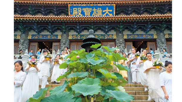 【城中人城中事】打造沉浸式文化体验中心，宝莲禅寺首办全港最大型荷花展