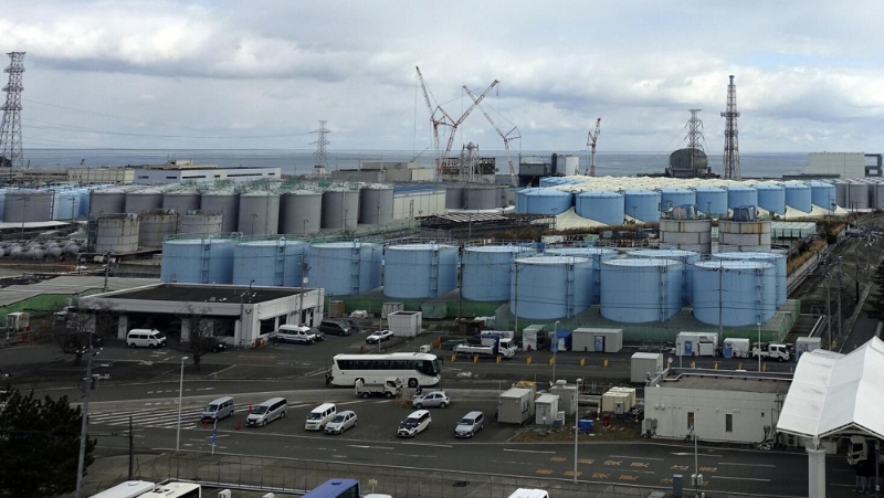 香港工联会:促仿傚内地海关全禁日本水产入口 香港工联会:促仿傚内地海关全禁日本水产入口