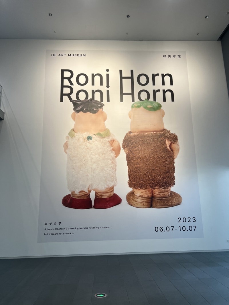 和美术馆 Roni Horn《非梦亦梦》展览,展期至2023年10月7日。图:Trip@飞奔中的狼8 和美术馆 Roni Horn《非梦亦梦》展览,展期至2023年10月7日。图:Trip@飞奔中的狼8