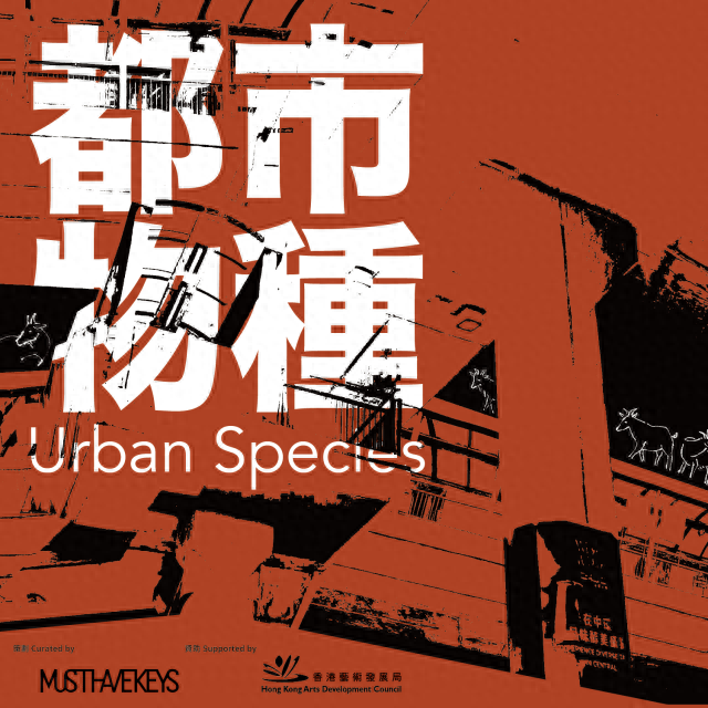 夜间艺术展览《都市物种》 夜间艺术展览《都市物种》
