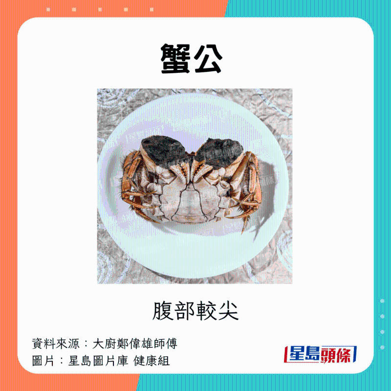 公蟹 公蟹