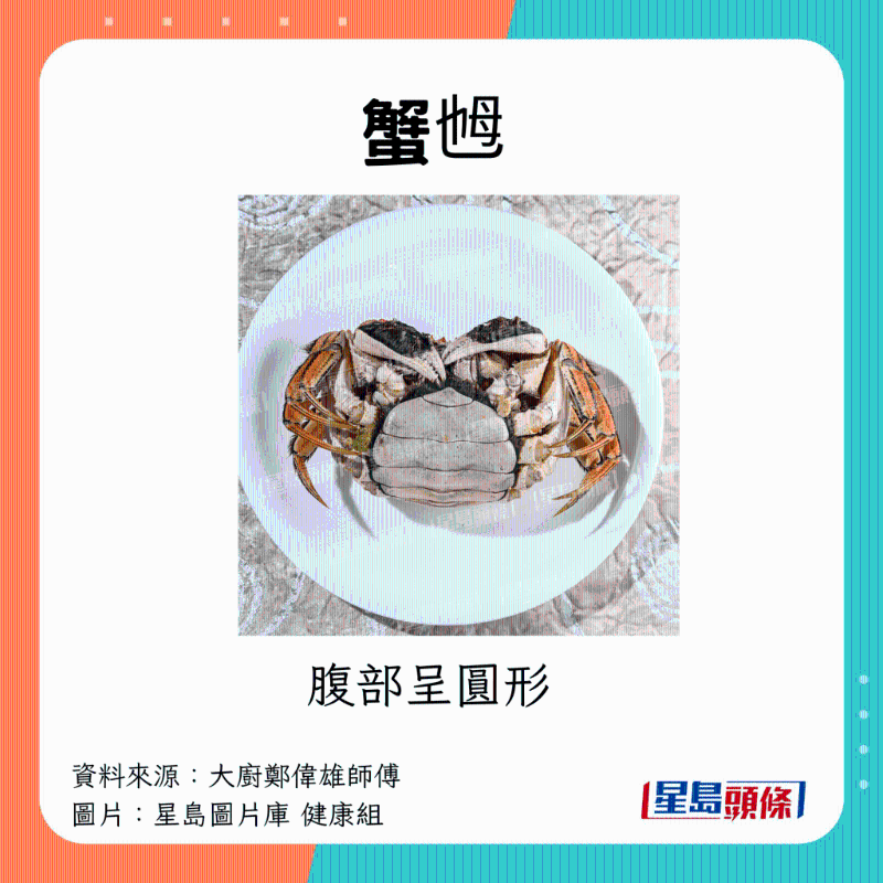 母蟹 母蟹