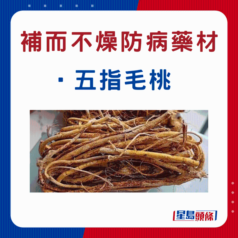 五指毛桃 五指毛桃