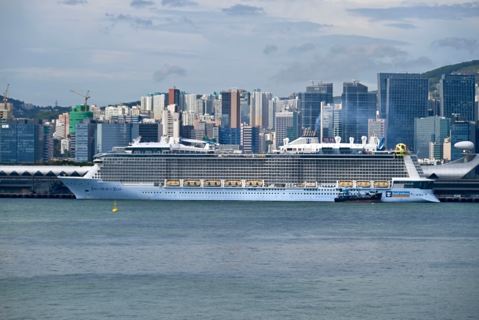 邮轮海洋光谱号8月4日停泊于香港启德邮轮码头的资料图 邮轮海洋光谱号8月4日停泊于香港启德邮轮码头的资料图