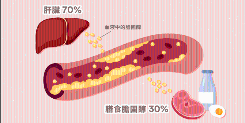 血液中的胆固醇,只有20至30%是直接经由食物吸收(图片来源:「Nutri Life 注册营养师」facebook) 血液中的胆固醇,只有20至30%是直接经由食物吸收(图片来源:「Nutri Life 注册营养师」facebook)