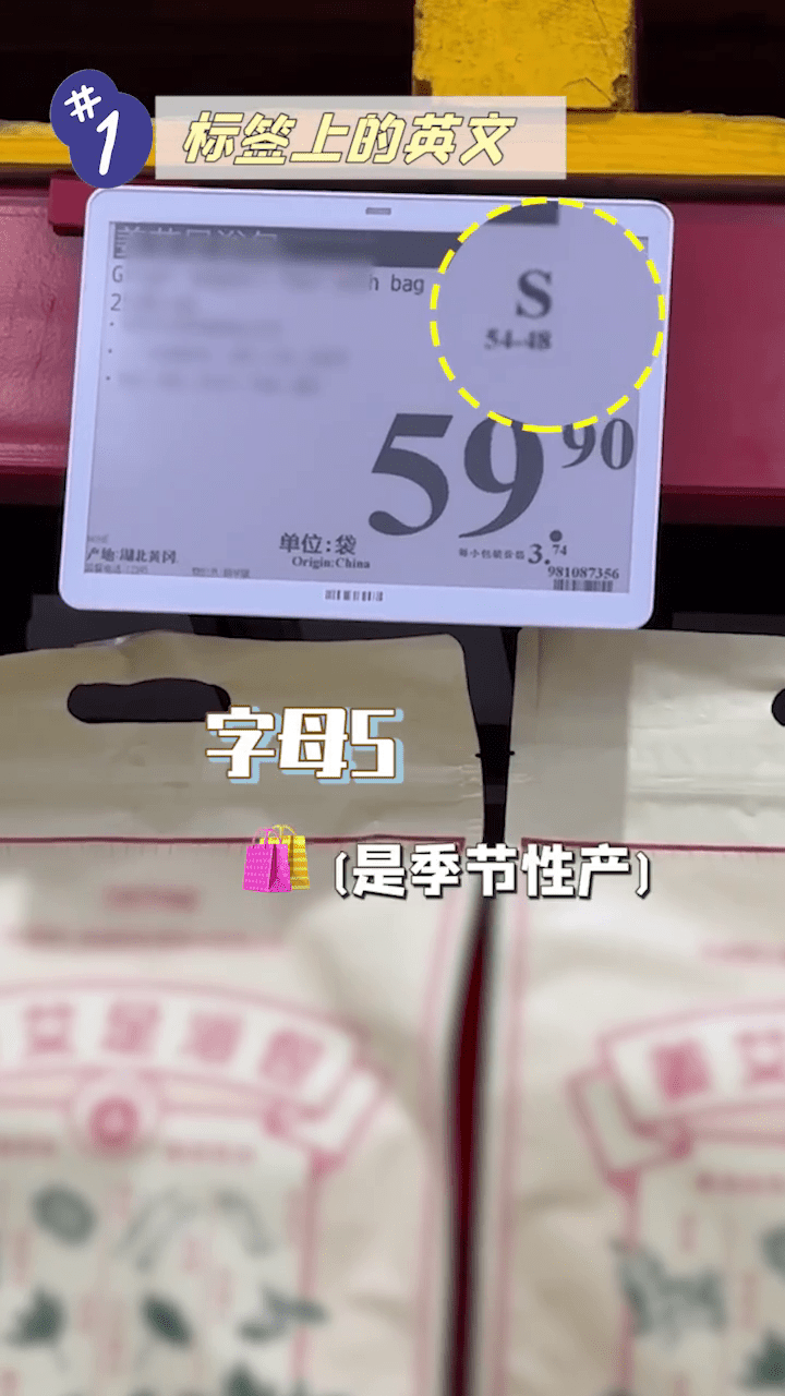字母S 字母S