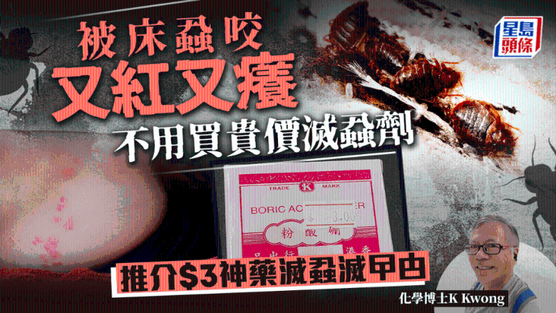 床虱 床虱