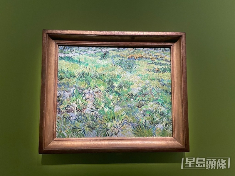 梵高的《长草地与蝴蝶》 梵高的《长草地与蝴蝶》