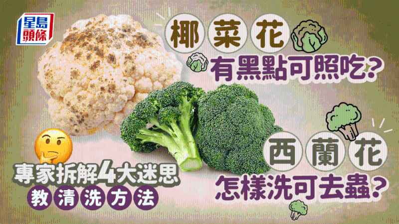 椰菜花有黑点可照吃?怎样洗西兰花可去虫?专家拆解4大迷思 椰菜花有黑点可照吃?怎样洗西兰花可去虫?专家拆解4大迷思