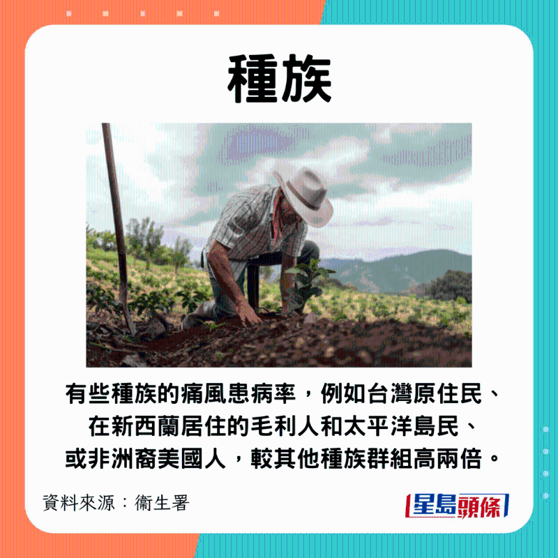 种族 种族