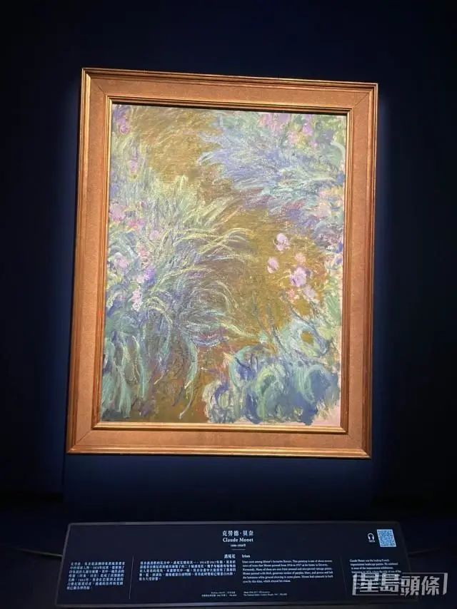 莫奈的《鸢尾花》。 莫奈的《鸢尾花》。