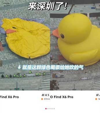 “大黄鸭”已经抵达深圳,进行展示前的准备工作。 “大黄鸭”已经抵达深圳,进行展示前的准备工作。