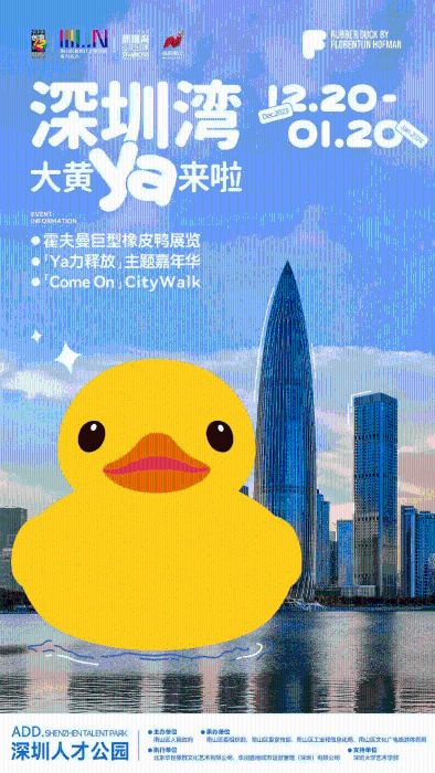 大黄鸭即将在深圳湾展出。 大黄鸭即将在深圳湾展出。