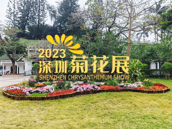 深圳菊花展由即日至12月29日举行,并以现菊荟万象作为主题。 深圳菊花展由即日至12月29日举行,并以现菊荟万象作为主题。