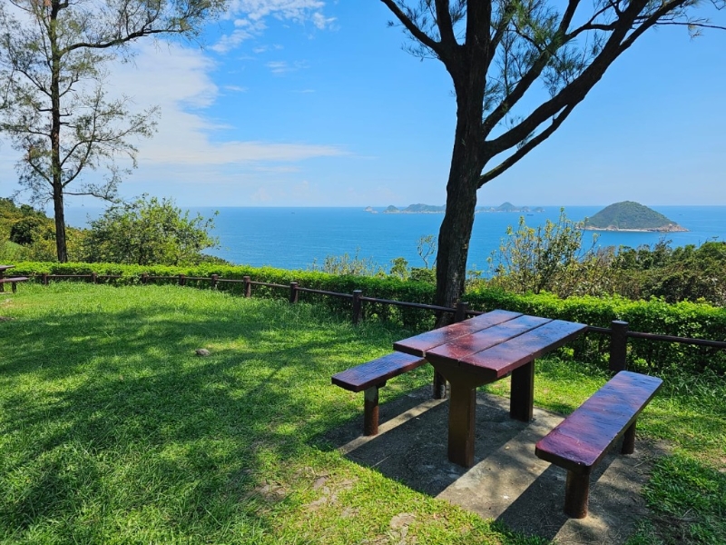 望着无遮挡海景野餐,比去海 景餐厅经济得多。 望着无遮挡海景野餐,比去海 景餐厅经济得多。