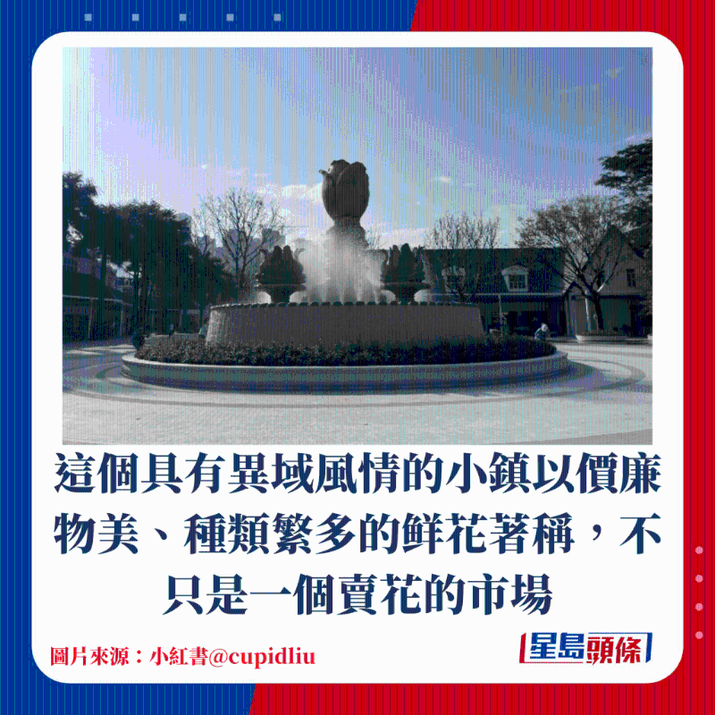 荷兰花卉小镇 荷兰花卉小镇