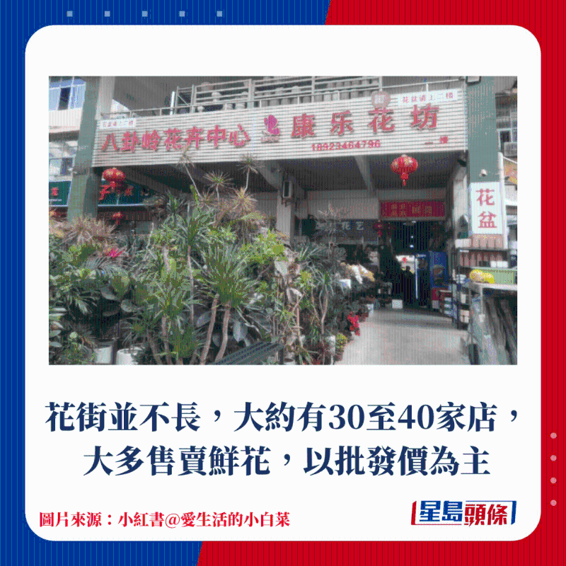 花街并不长,大约有30至40家店,大多售卖鲜花,以批发价为主 花街并不长,大约有30至40家店,大多售卖鲜花,以批发价为主