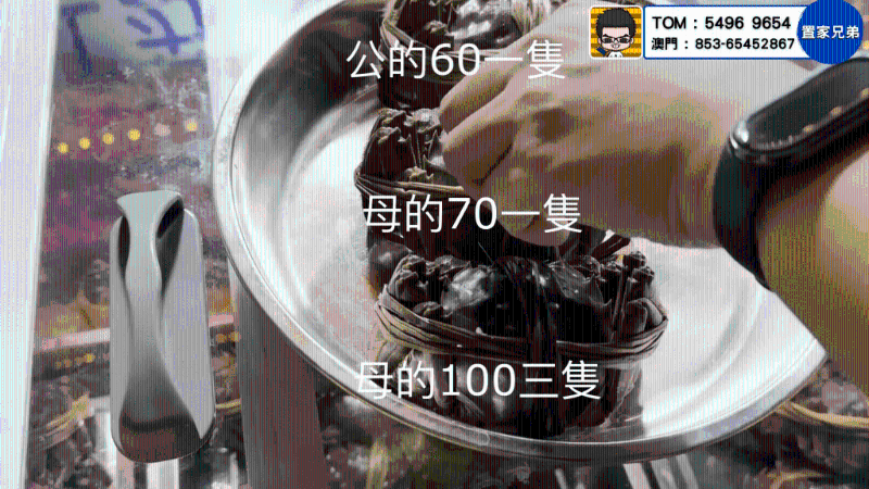 公大闸蟹¥60一只,母大闸蟹¥70一只、3只¥100 (图片来源:Youtube@ CKBRO 置家兄弟) 公大闸蟹¥60一只,母大闸蟹¥70一只、3只¥100 (图片来源:Youtube@ CKBRO 置家兄弟)