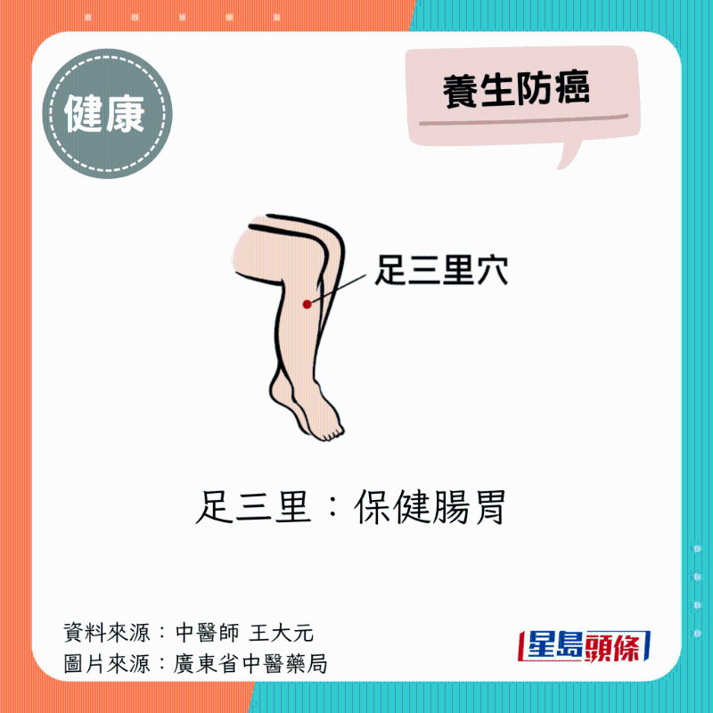 足三里 足三里